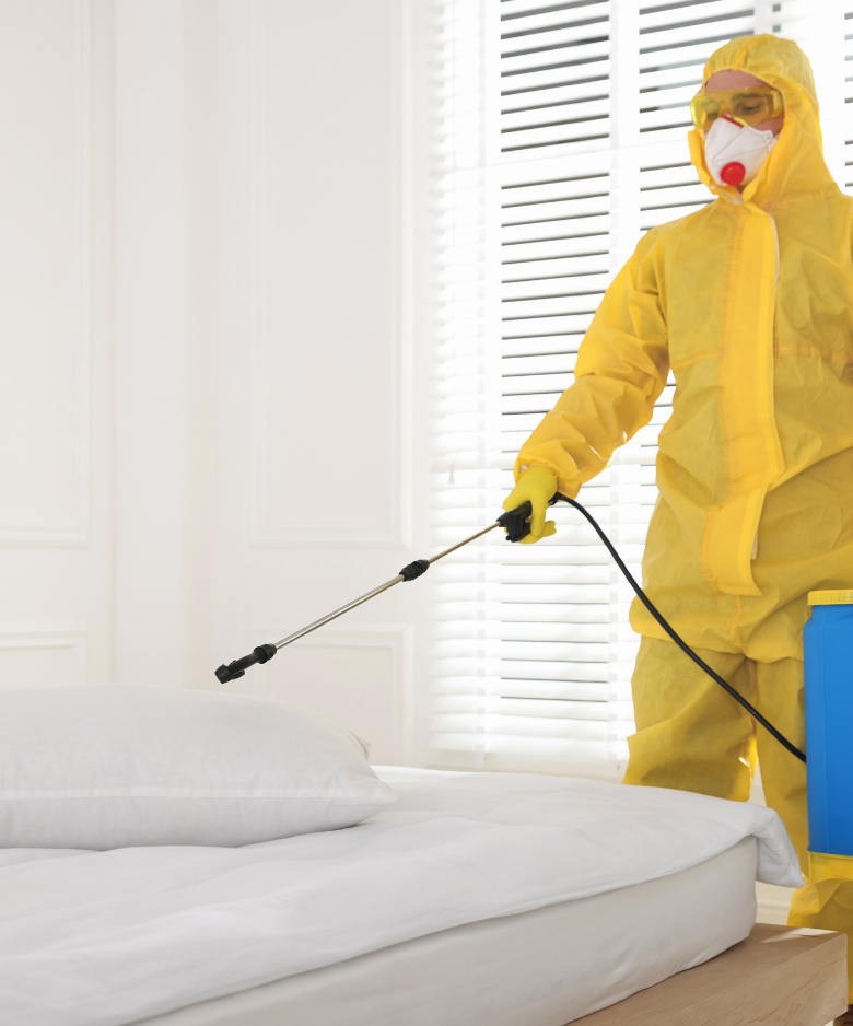 Professional Pest Control Team in Huntfield Heights
